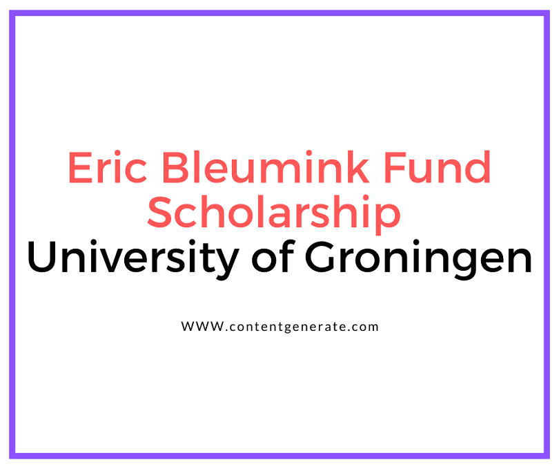 Eric Bleumink Fund Scholarship at University of Groningen