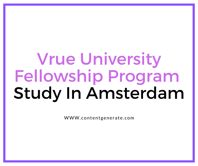 VU Fellowship Programme