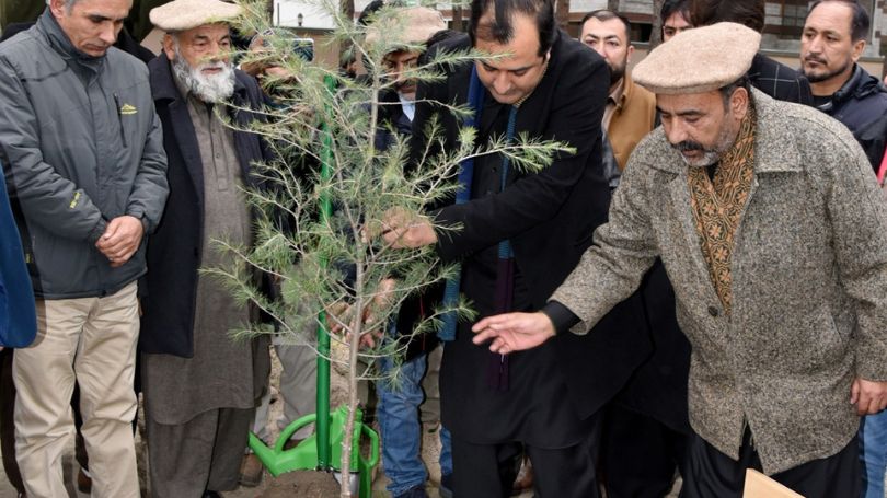 Chief Minister Gilgit-Baltistan participates in plantation campaign in G-B