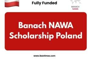 Banach NAWA scholarship 2025